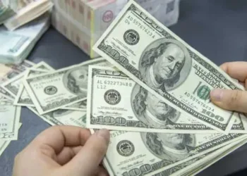 سعر الدولار امام الجنيه في البنوك المصرية اليوم الثلاثاء 20-1-2026