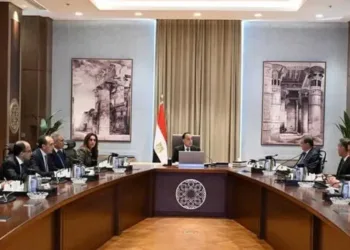 مدبولي يعتمد خطة شاملة لمواجهة أزمة الحيوانات الضالة ومليارات التحصين والتعقيم