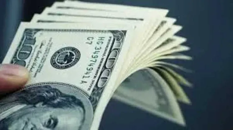 سعر الدولار مقابل الجنيه اليوم الأحد 15 فبراير 2026