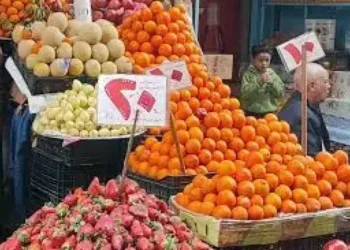 أسعار الفاكهة في سوهاج اليوم الثلاثاء 24-2-2026.. البرتقال بـ15 جنيهًا واليوسفي بـ10 جنيهات