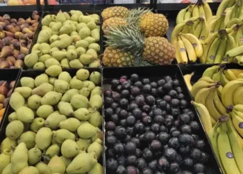 أسعار الفاكهة اليوم الأربعاء 4 مارس 2026 في سوق العبور للجملة.. قائمة الأسعار الكاملة