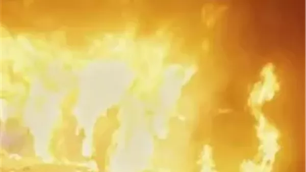 مخططات إرهابية وانفجار مدو.. تصاعد مثير في الحلقة 25 من “رأس الأفعى”