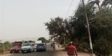 فرق الطوارئ بسوهاج تنجح في التعامل مع سقوط أعمدة كهرباء وأشجار خلال تقلبات الطقس