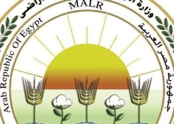 «الزراعة في أسبوع».. 290 نشاطًا وملفات تصديرية ورقابية وتحركات ميدانية