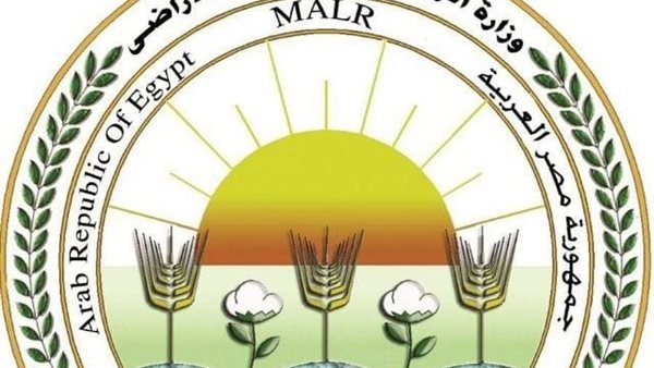 «الزراعة في أسبوع».. 290 نشاطًا وملفات تصديرية ورقابية وتحركات ميدانية