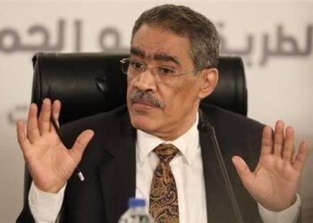 “رشوان”: ندعو الأشقاء العرب لتفعيل قوانينهم ضد التجاوزات الإعلامية