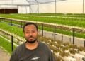 إبراهيم سرالدين بدير