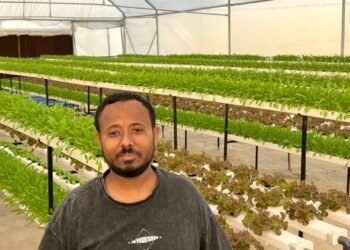 إبراهيم سرالدين بدير