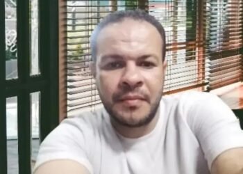 المهندس محمد السيد الطيار